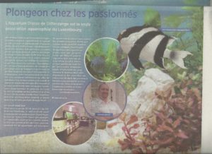 page5foto